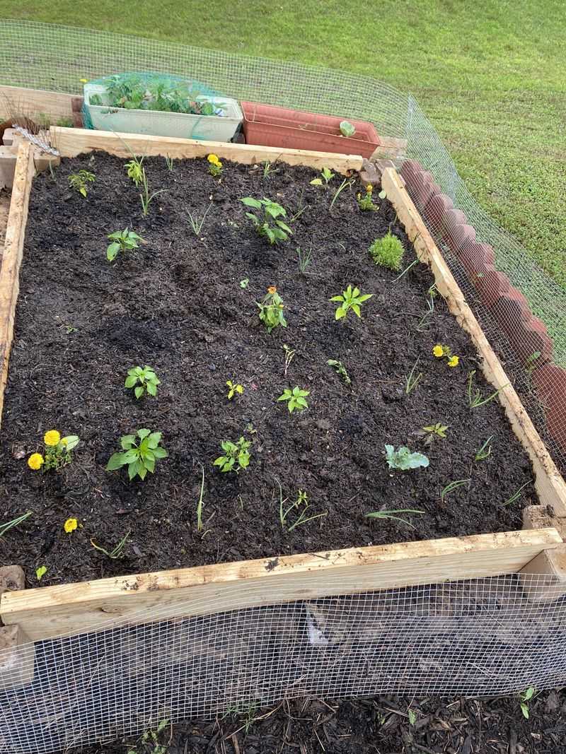 Use Them Near Seedlings