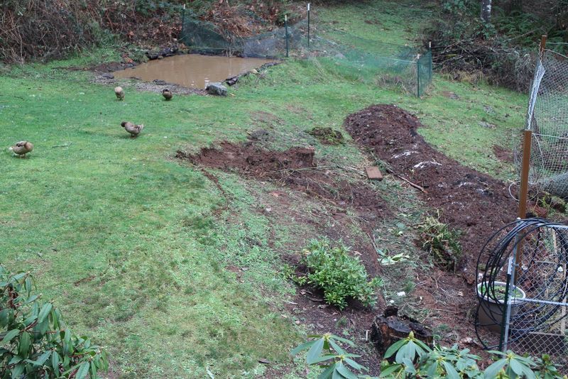 Improve Drainage In Areas With Heavy Soil