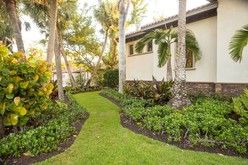 Stay Consistent Until Skunk Vine Stops Coming Back