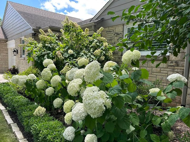 Check Soil And Adjust Nutrients If Needed