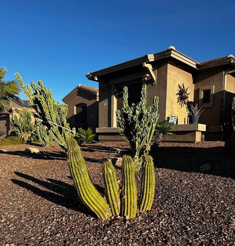 Protect From Late Cold Snaps If Temperatures Drop