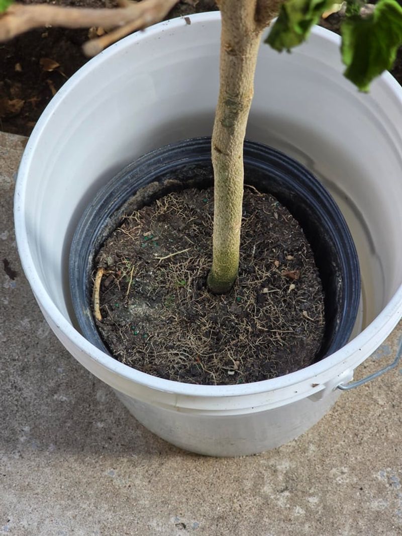 Inspect Soil Drainage Before Heavy Rains Arrive