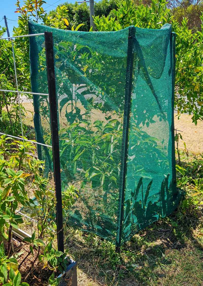 Block Hot Afternoon Wind