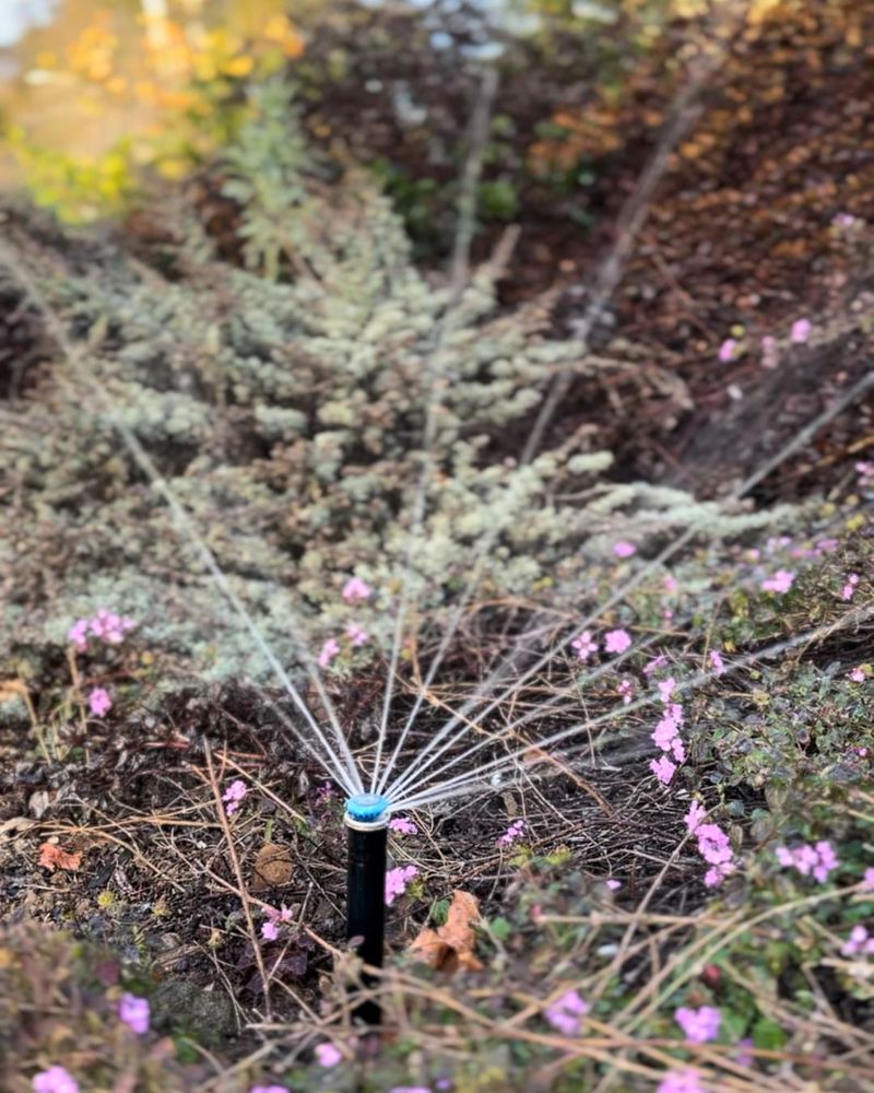 Water Deeper Rather Than More Often As Temperatures Rise