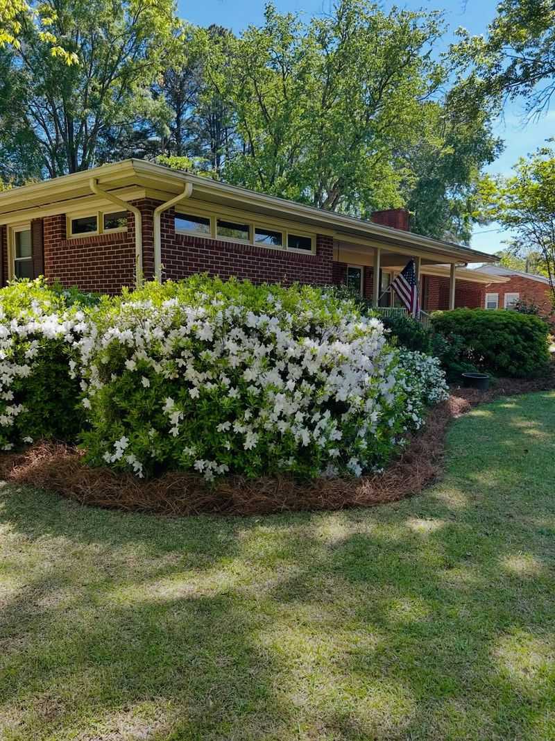 Pine Straw Is Your Best Friend Right Now