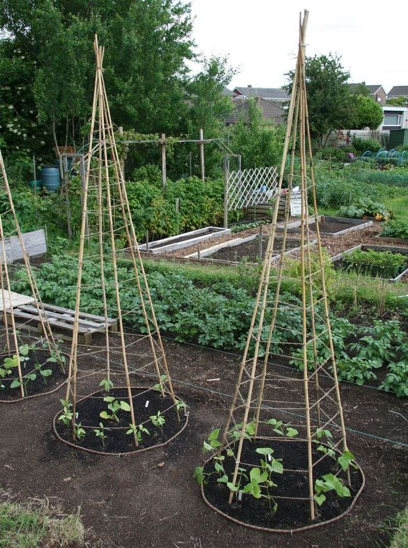 Watch Your Teepee Transform Into A Living Garden Feature