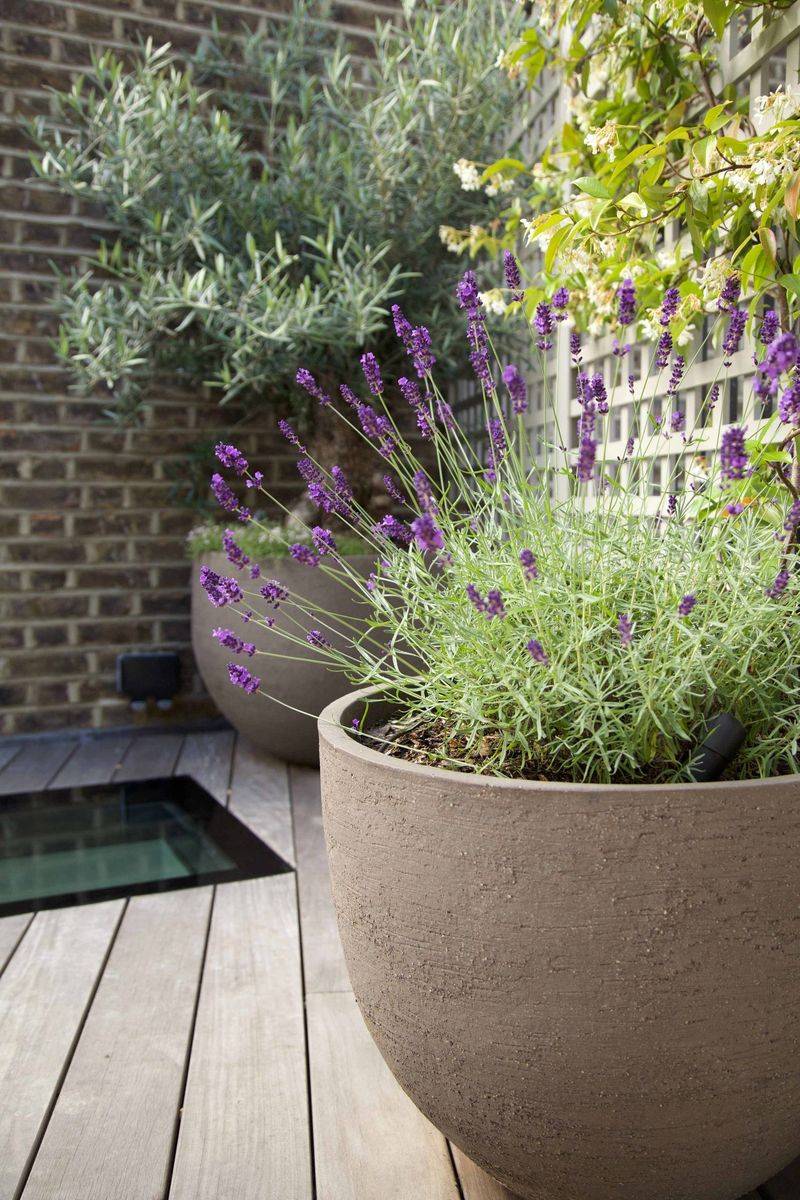 Avoid Pesticides That Harm Pollinators