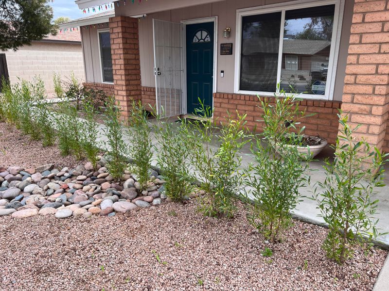 Check New Plants More Often Than Established Plants