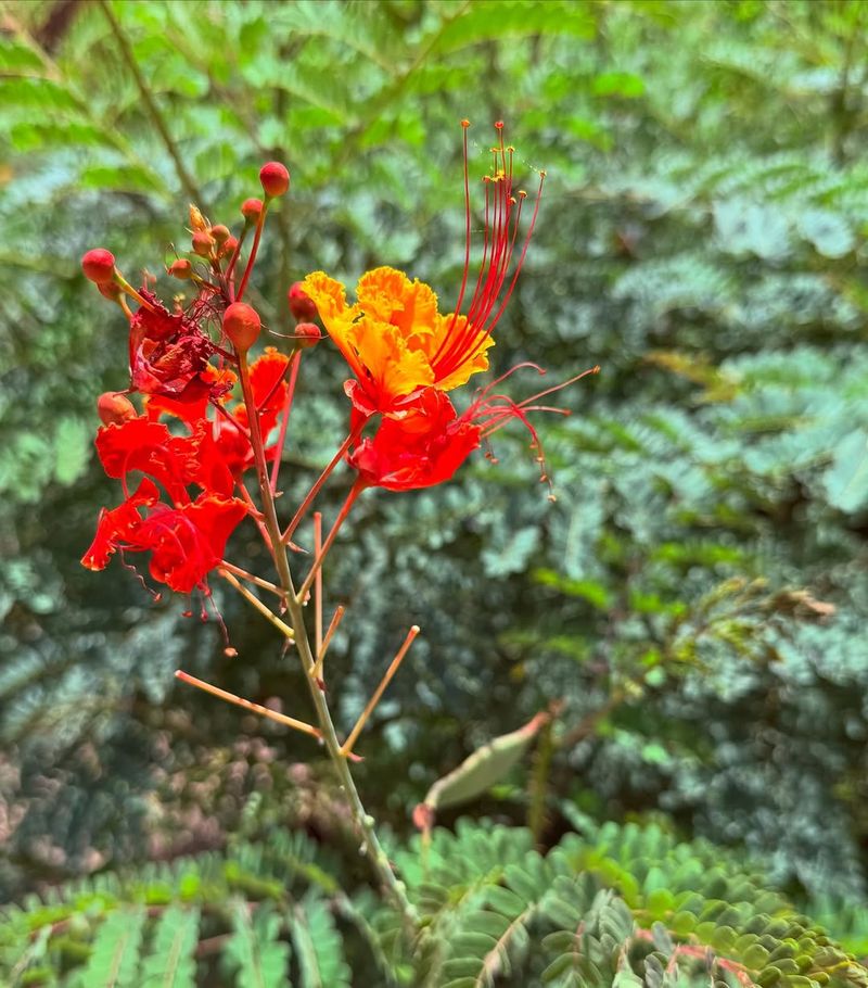 Make Sure Soil Drains Fast To Prevent Root Issues