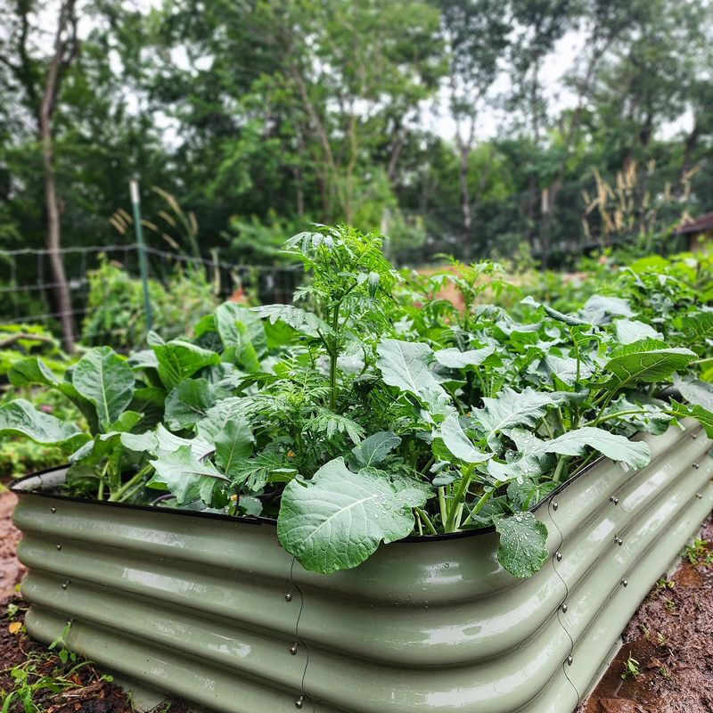 Improve The Bed Before You Reach For More Fertilizer