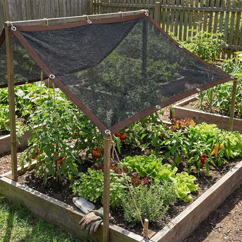Use Shade Cloth During Peak Afternoon Heat