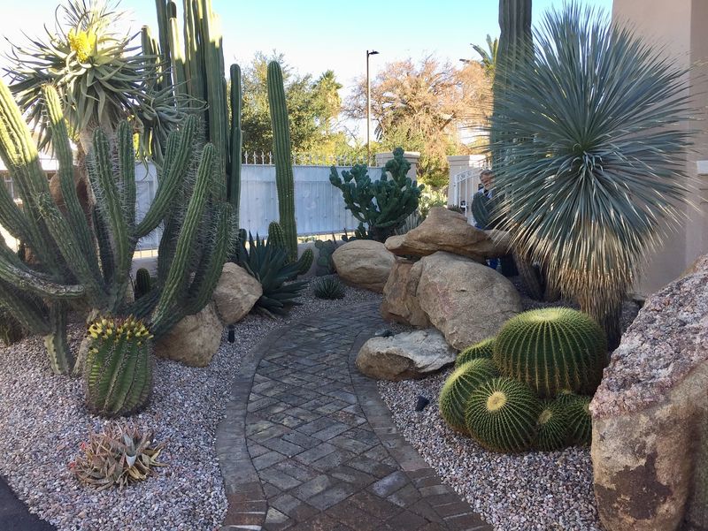 Gradually Reintroduce Plants To Full Sun