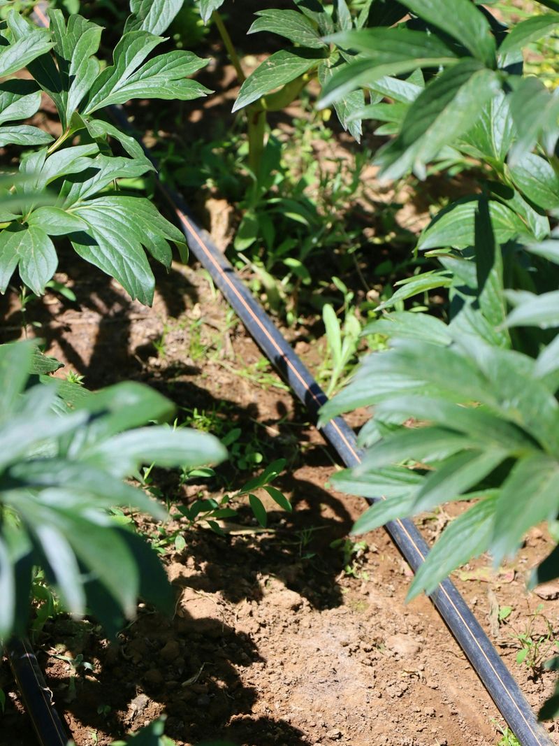 Regular Maintenance Keeps The System Running Smoothly