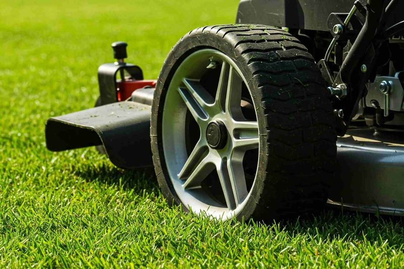 Raise Your Mower Blade To Protect Thirsty Grass