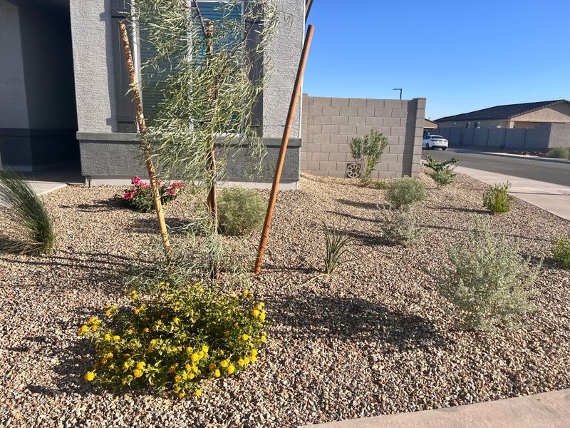 Built In Features Help Reduce Unnecessary Water Use