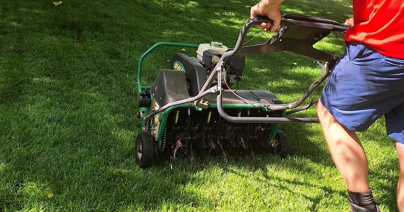 Skipping Lawn Aeration And Soil Management