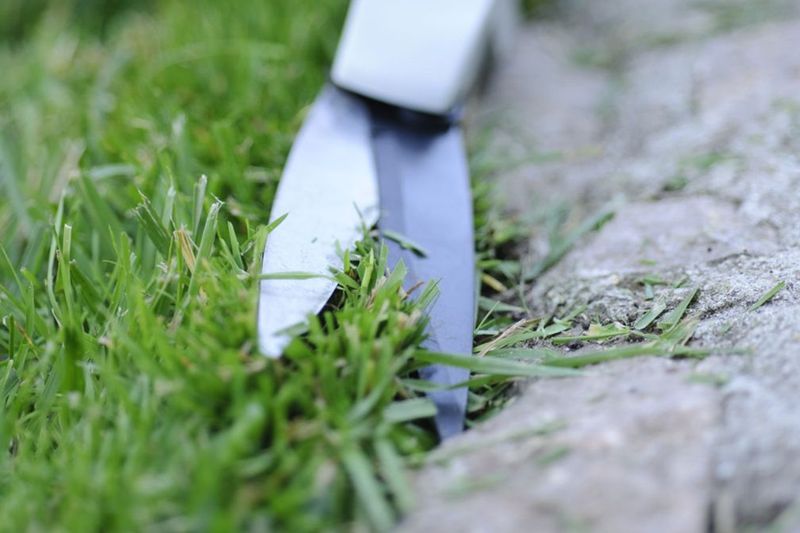 Not Maintaining Lawn Edges And Borders