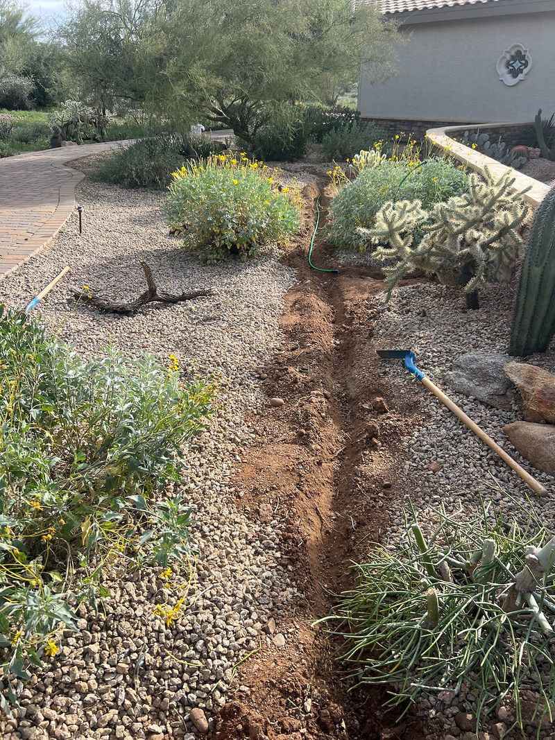 Deep Watering Less Often Helps Roots Grow Stronger