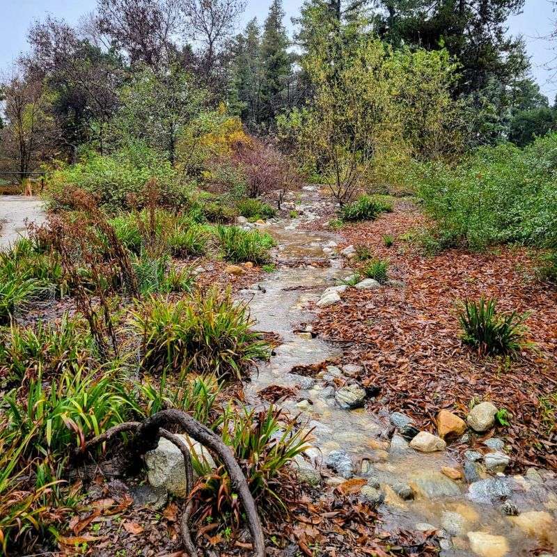 Letting Water Run Off