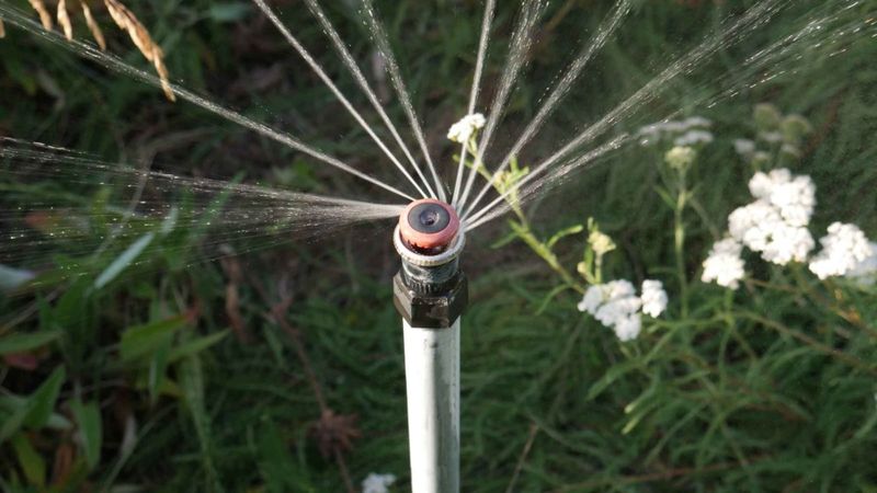 Not Adjusting Timers In Spring