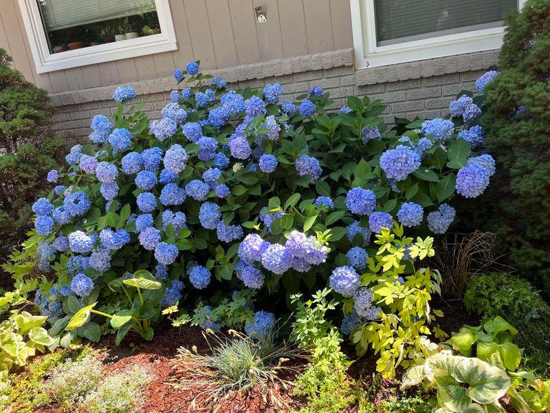 Better Drainage If Spring Soil Stays Too Wet