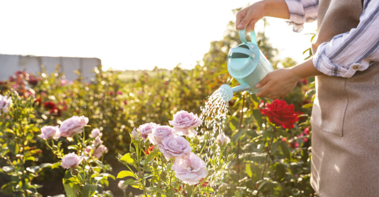 What California Gardeners Should Be Watering Deeply Right Now