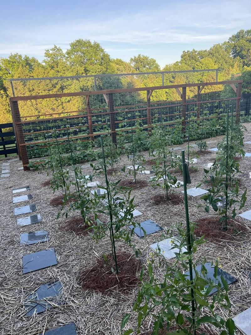 Water Early In The Morning