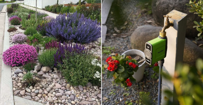 What California Gardeners Should Do Right Now To Use Less Water All Summer Long