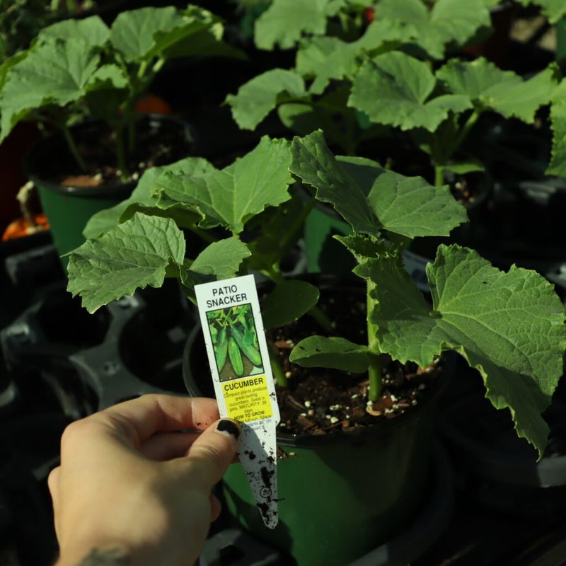 Know Whether April Fits Your Florida Region