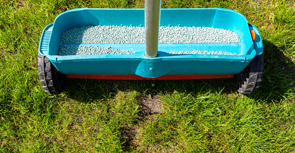fertilizing lawn (featured image)