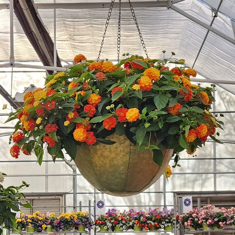 Why It Works So Well In Texas Conditions