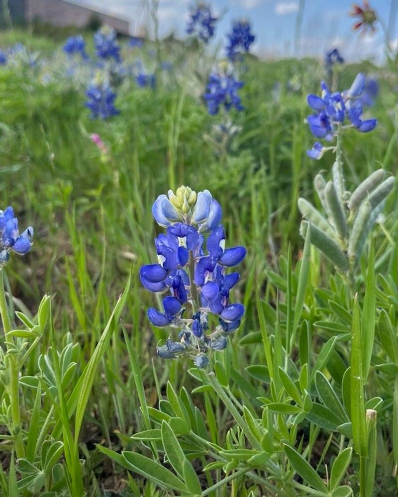 The Conditions That Help Them Thrive