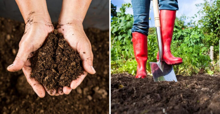 What North Carolina Soil Needs In April Before Planting Season Begins