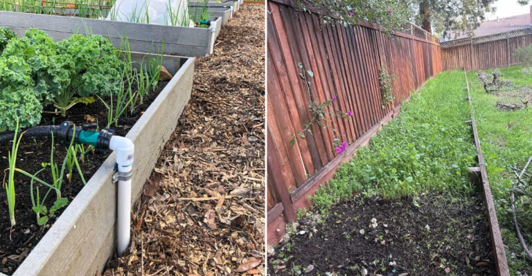What Oregon Garden Beds Need Right Now Before Planting Anything Else