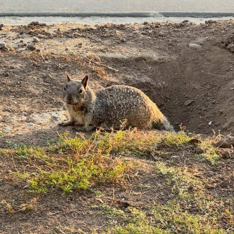 Signs The Holes Are Active