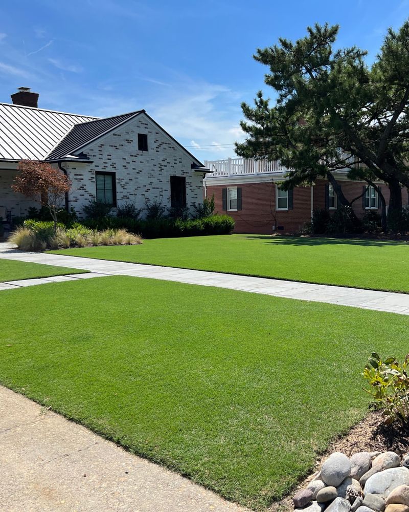 How Healthy Grass Should Look By Early Summer