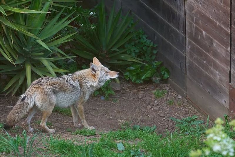 Stay Calm And Keep Your Distance