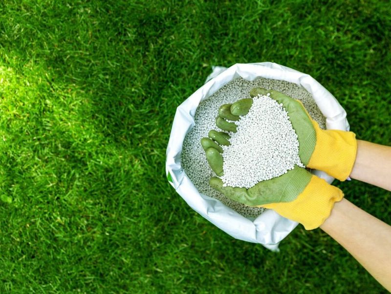 How To Tell When Your Georgia Lawn Is Ready For Feeding