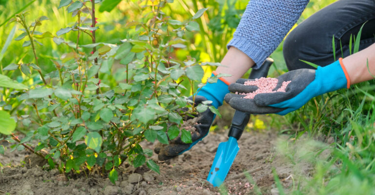 What To Fertilize In Texas Gardens In April (And What To Skip)