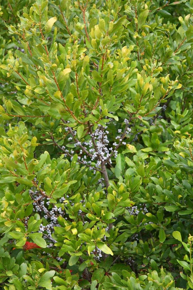 Why It's Worth The Switch