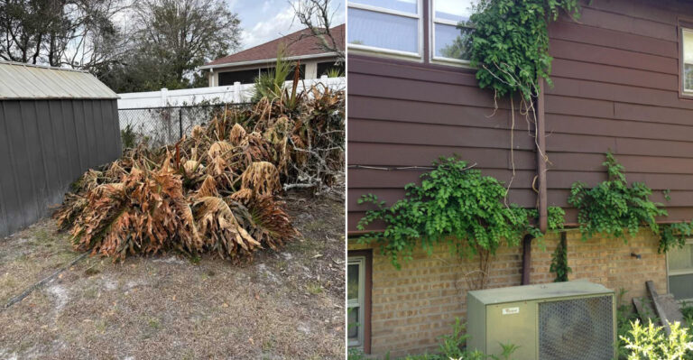 What To Remove In California’s First 5 Feet Around The House Before Fire Season
