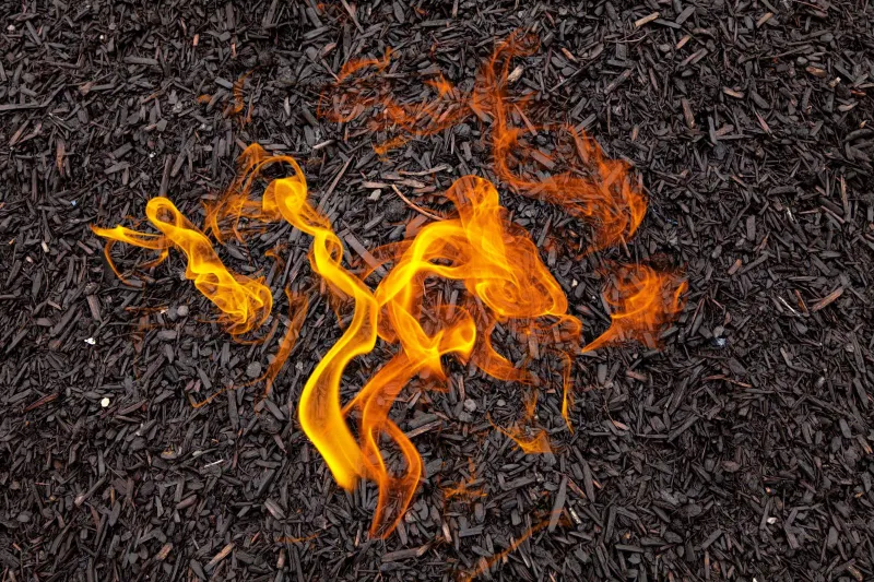 Wood Mulch Against The House