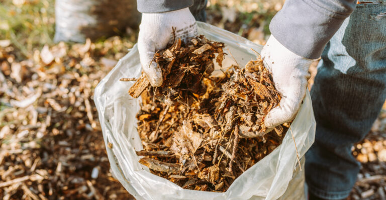 mulch (featured image)