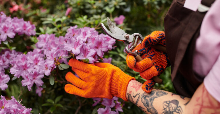 What Western North Carolina Gardeners Should Prune After Spring Bloom Ends