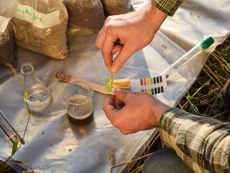 A Soil pH Check