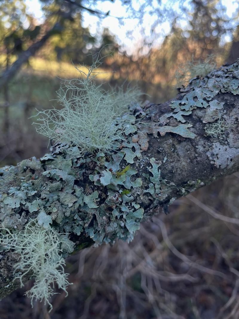 What Oregon Gardeners Should Do Next