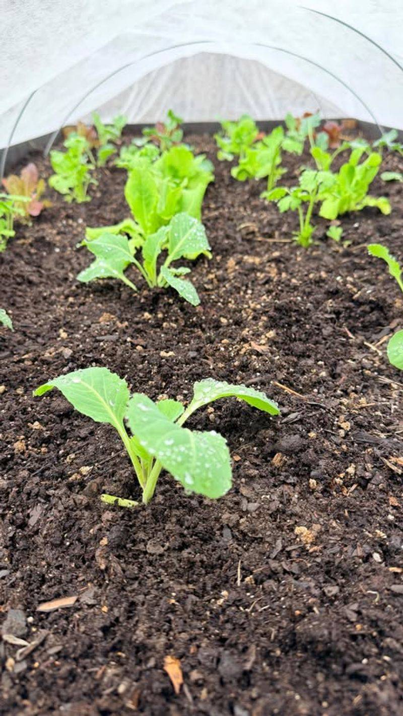 Southeast Michigan And The Detroit Area