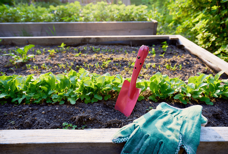 Why The Last Frost Date Is Only A Rough Guide