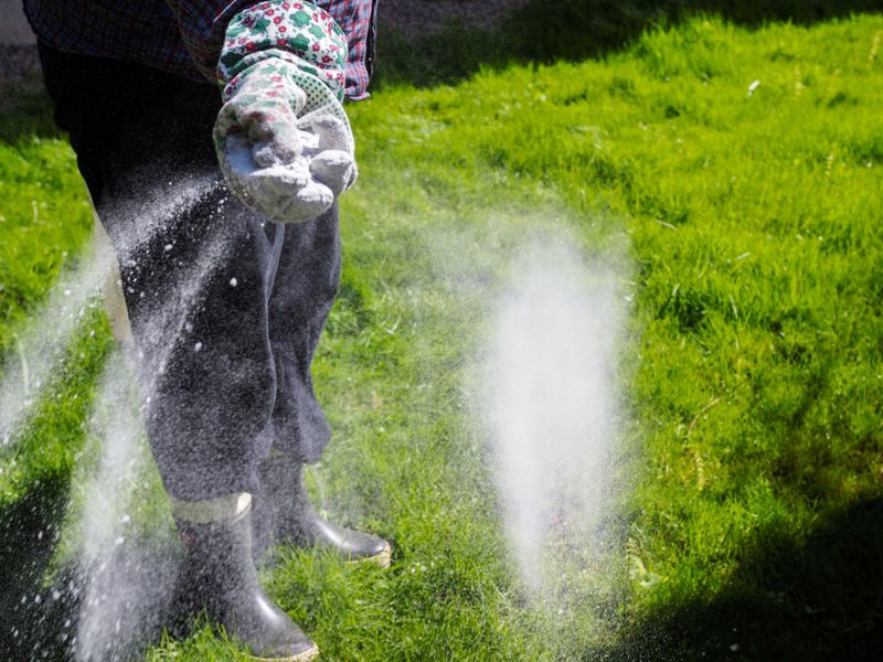 Fertilize In April After Grass Turns Fully Green