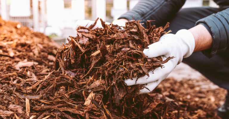 mulch (featured image)